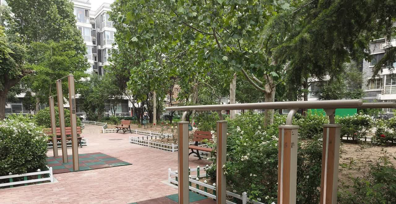 翻新道路、铺设地胶、栽种花朵……社区广场改造升级后舒适了
“环境好了，设备换了