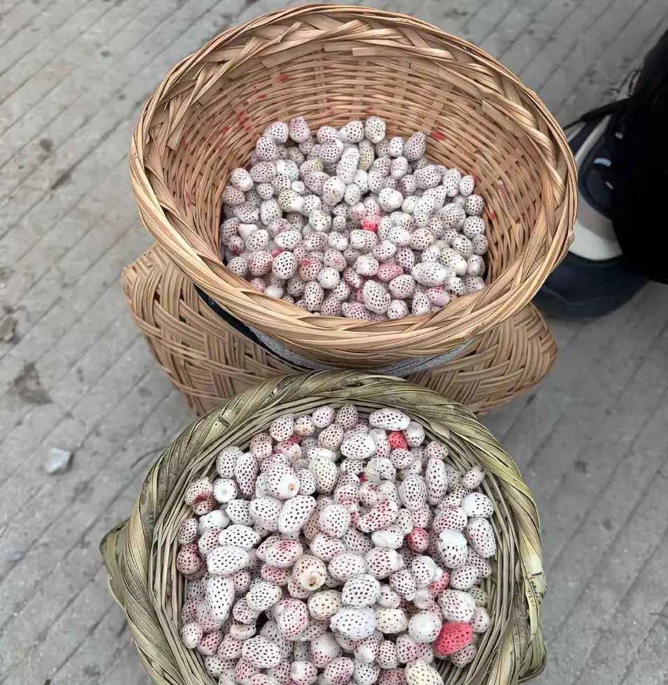 我宣布这是贵州吸引我的原因