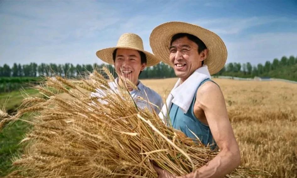 八，九十年代乡下男人的特点：精瘦，头发乌黑浓密，没有人秃顶，皮肤黝黑，多数人都有