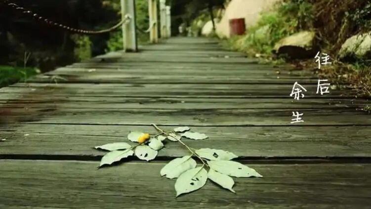 往后余生一身傲骨，再无感情，别无他念