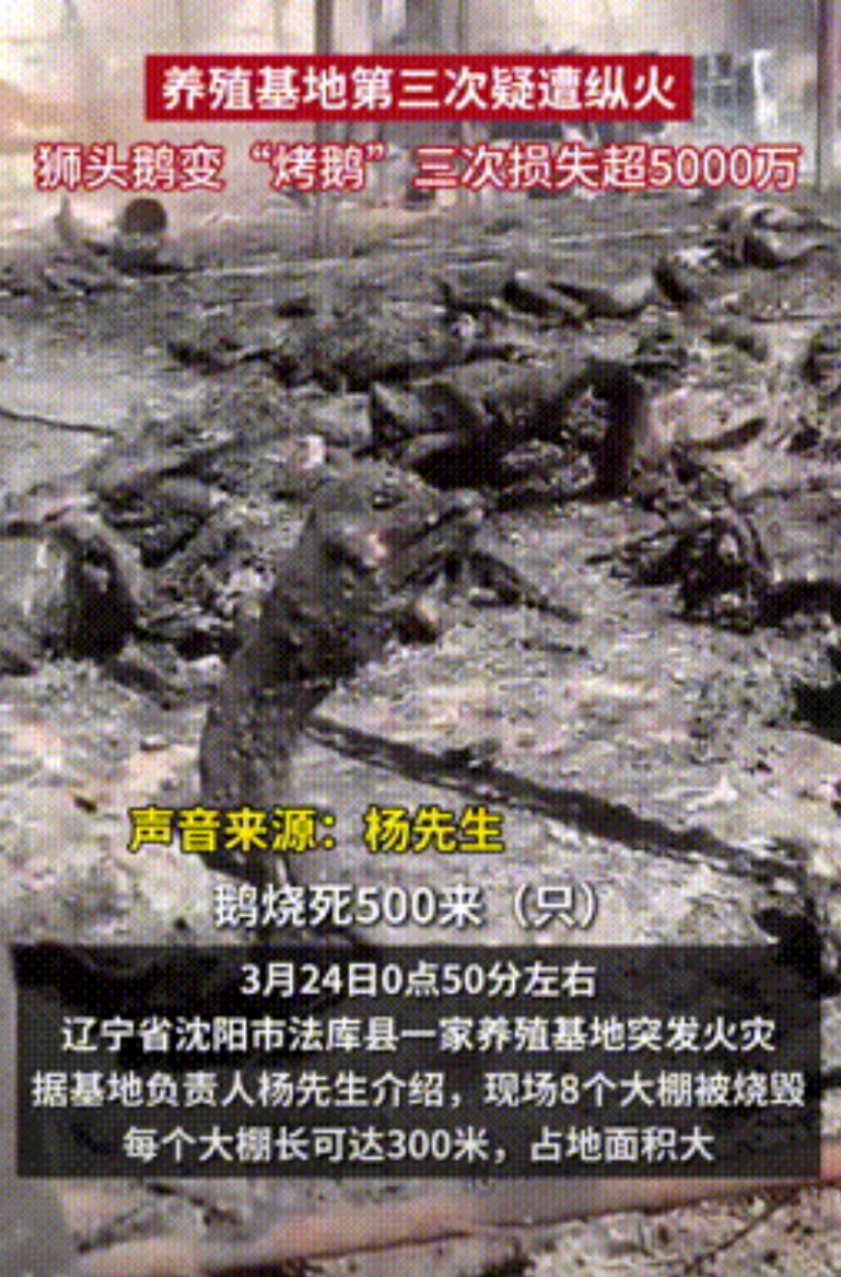 “可以一起穷，但不能一个人富！”辽宁，一养殖基地第3次被纵火，烧光8个大棚共计损