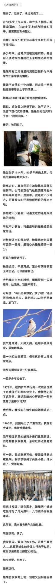 1950年代，山东胶南的乡村，风里裹着海的咸味，日子却苦得像黄连。七岁的李肇星，