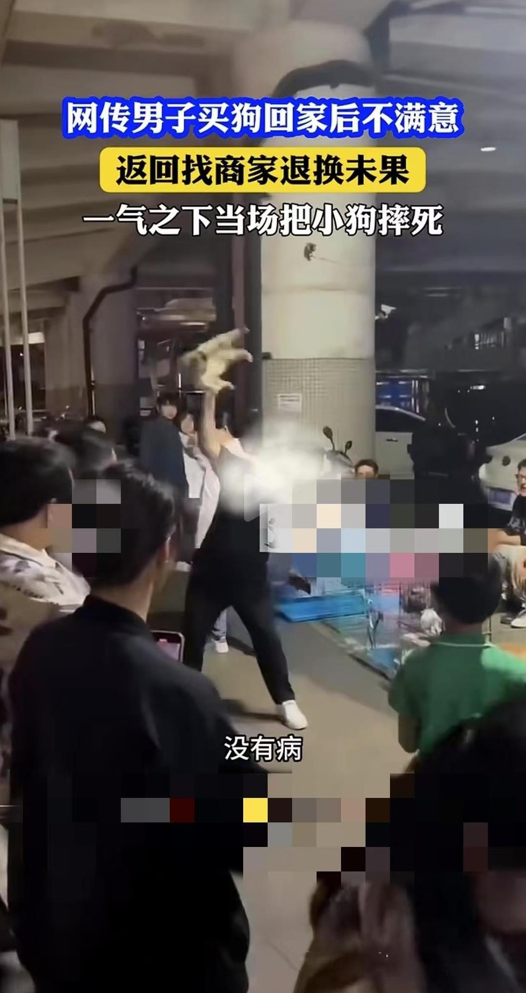广西柳州，一名男子买了一只小狗以后，不喜欢了想要退货，摊主以小狗没有问题为由拒绝