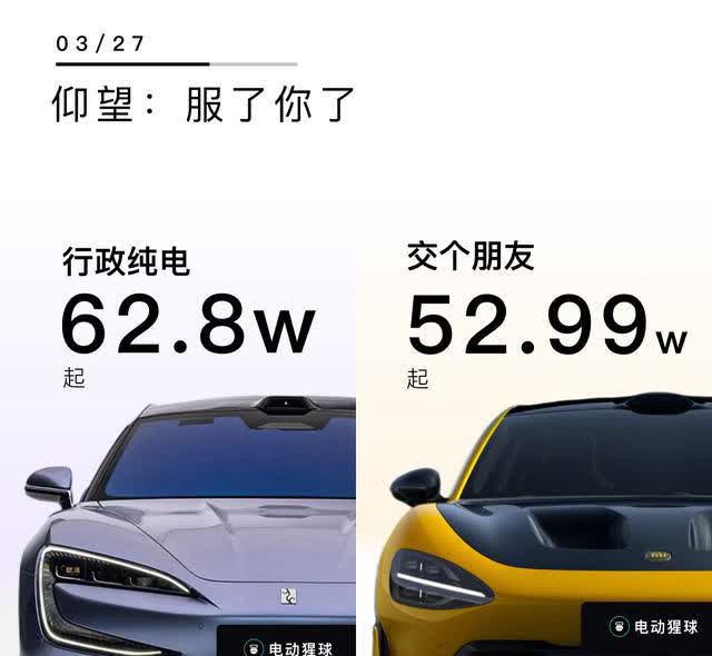 这两款车都不是面向代步车人群的。
我的看法：
发烧的选小米；
追求技术的选