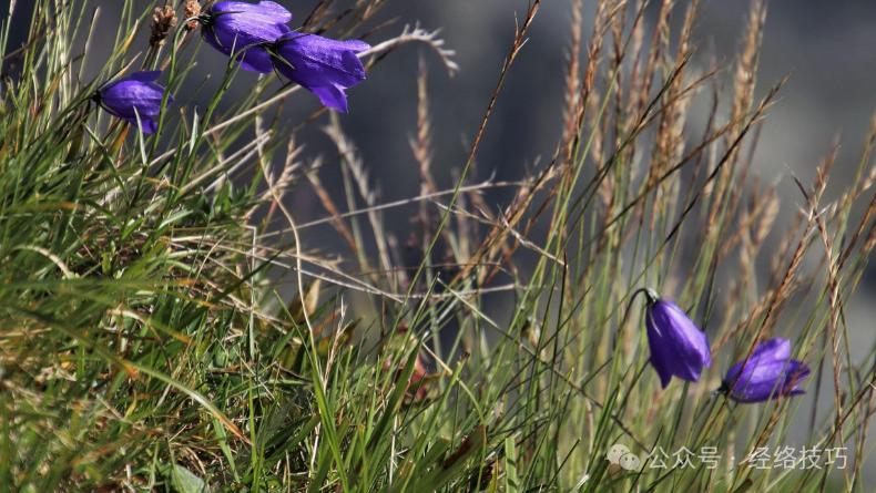 《黄帝内经》：从走路的姿态，看出你的健康