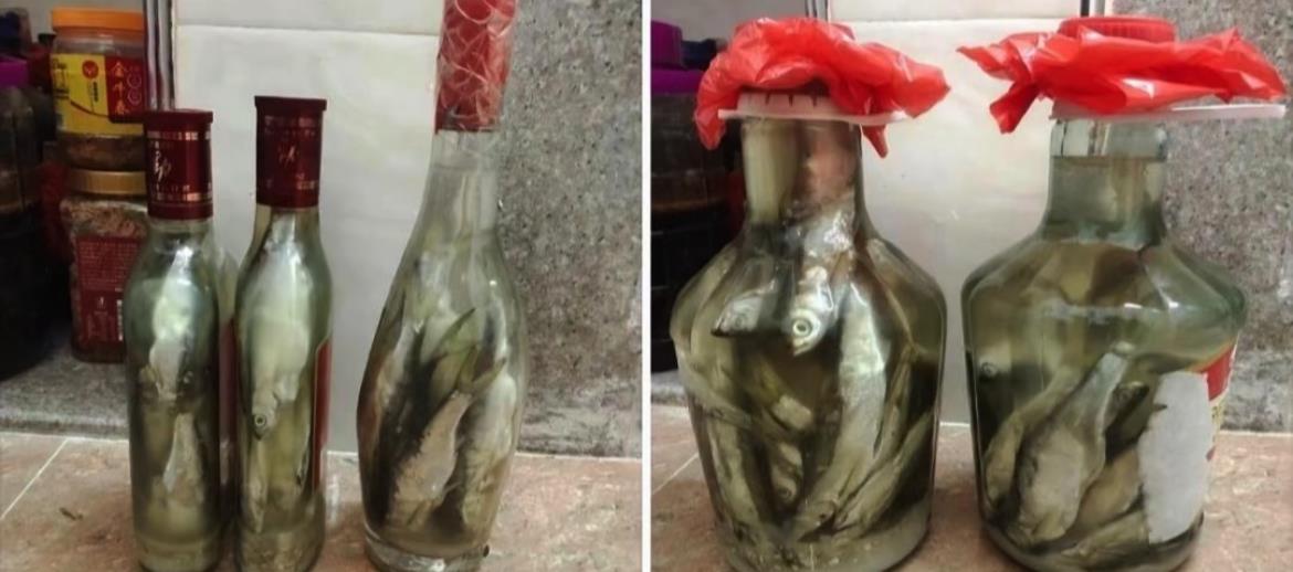 第一次泡酒，需要泡多久才可以喝？