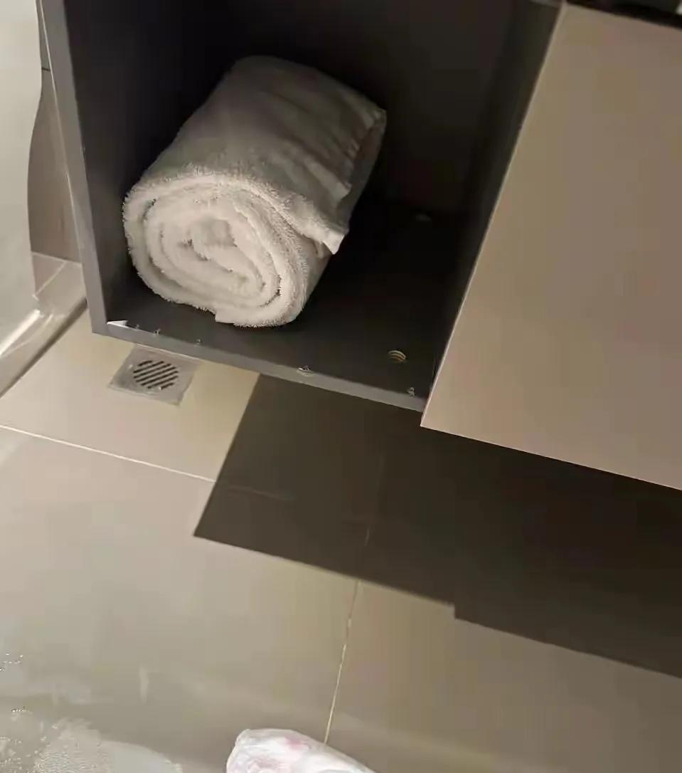 河北邢台，一男子和女友入住酒店，竟然在卫生间洗手台下的暗格，发现一条女人使用过的