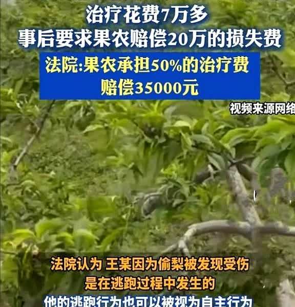 苦不堪言！

6月2日，广西，一男子去梨园偷梨，被园主大爷发现发生争执后，他