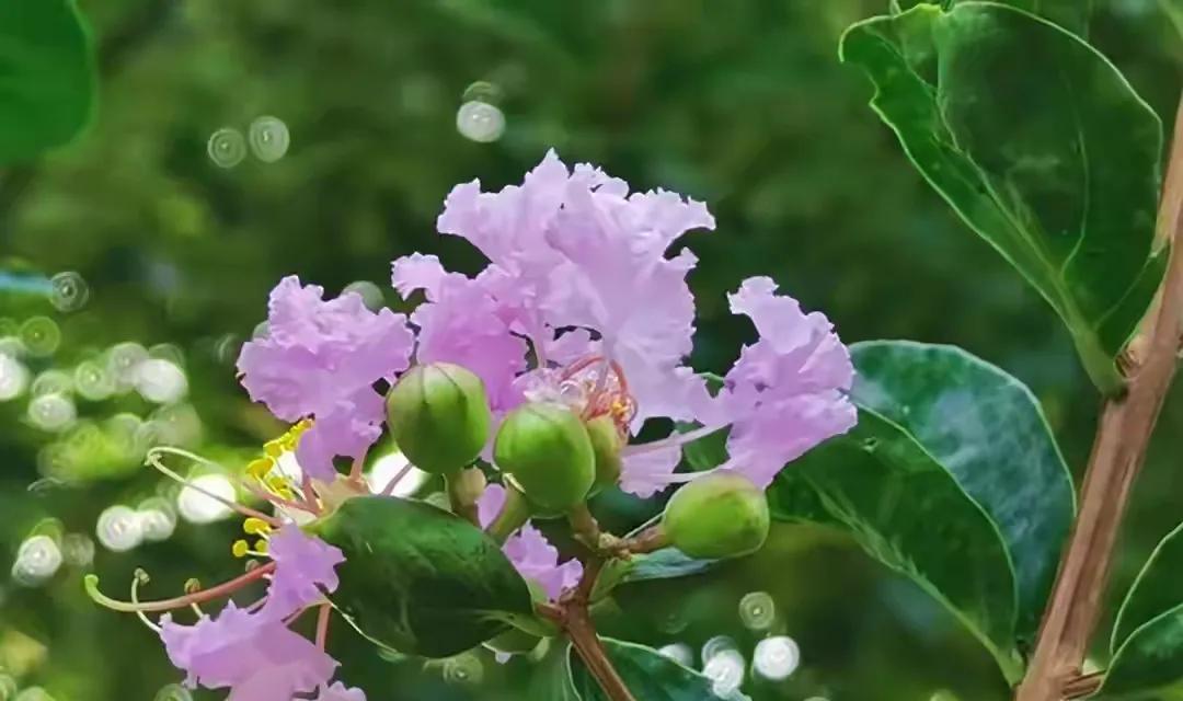 人生就像赶公交车，总是慢半拍。
前几年大家都在考公务员，我还在工厂流水线上拧螺丝