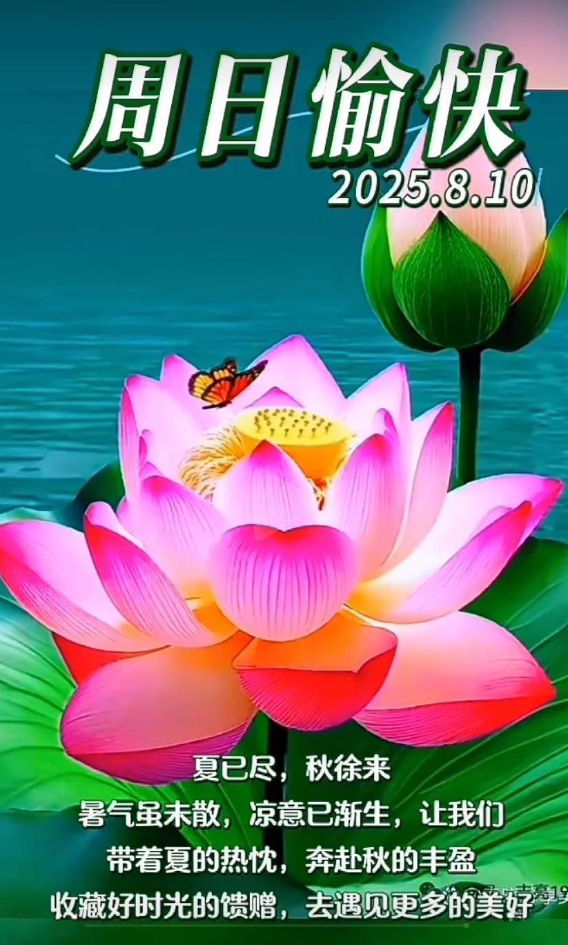 夏尽秋来，带着热忱，奔赴丰盈。