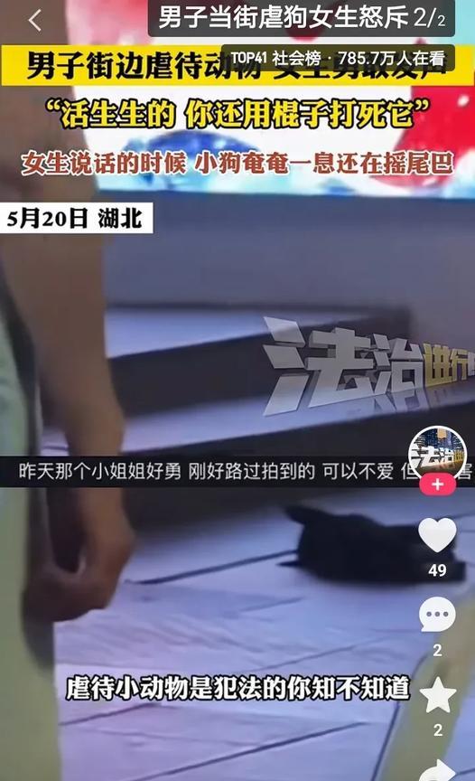 这两起虐杀猫狗动物事件，简直残忍到令人发指！
5月20日；湖北一男子当街用木棍打