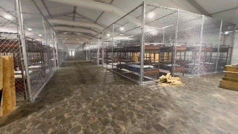 特朗普视察“移民集中营”，四面沼泽+鳄鱼守卫，脱口骂拜登“狗X养的”
当地时间7