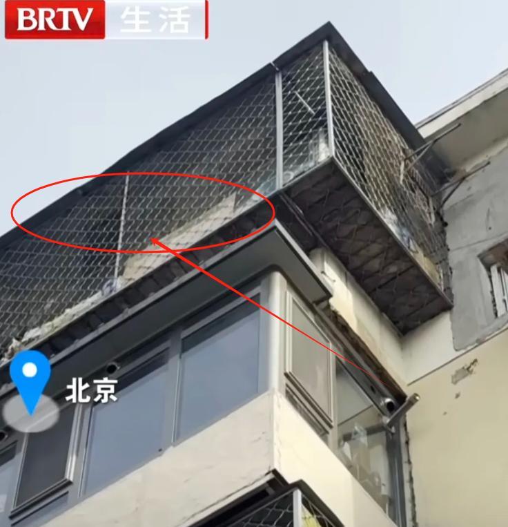 北京，李先生2018年花了235万买了套房，住了七八年，发现楼上有俩鸽舍，上百只