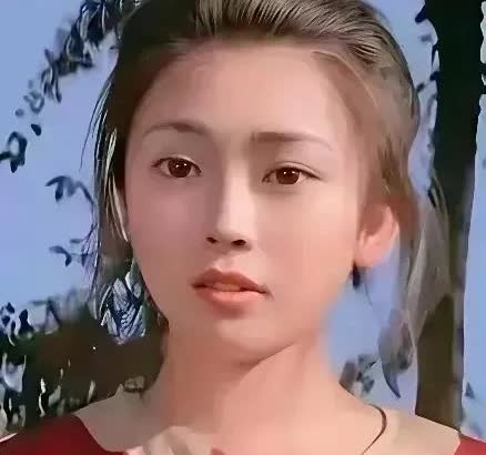 多数人都觉得，李连杰放着黄秋燕不要，宁愿倾尽所有追利智，是瞎了眼，说实话我也是这
