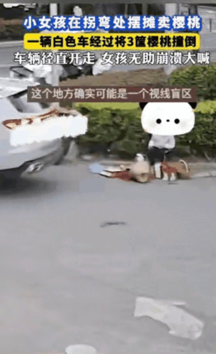 5月17日，山东一小女孩在路边摆摊卖樱桃，不料一辆轿车转弯时把三筐樱桃撞翻在地扬