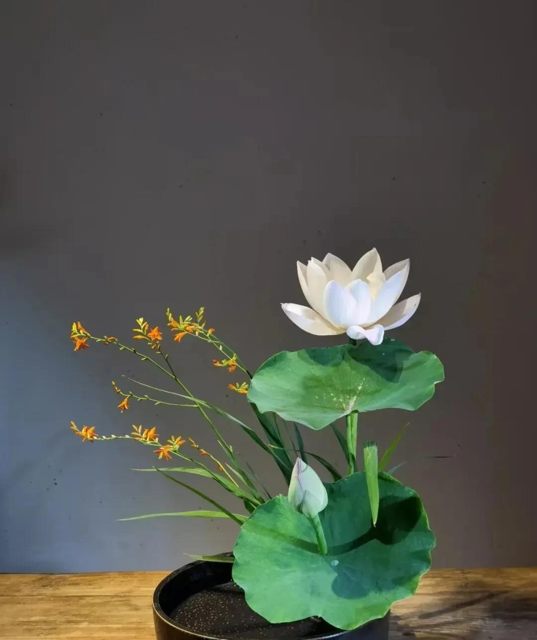容易读错的字词：
1、悭吝（qiān lìn）
2、缫丝（sāo sī）
3、龃
