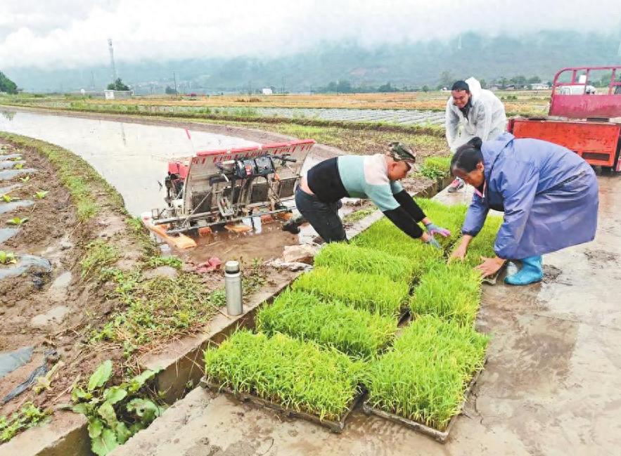 扎根雪域高原 科技兴农为民