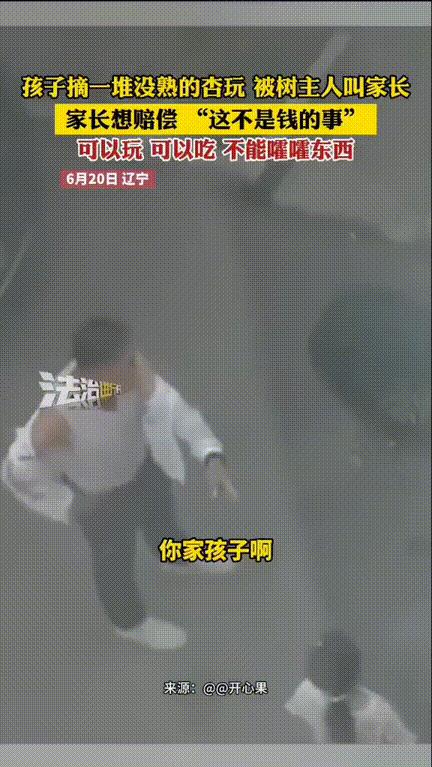句句在理！辽宁，一小孩摘了一堆没熟的，也不吃竟然全拿来当石头玩，一个一个的往地下