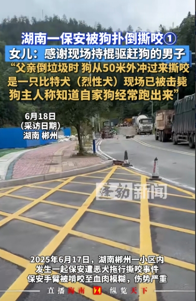 必须严惩！6月17日，湖南，男子出去倒垃圾时，突然冲出一条大狗，将他扑倒在地撕咬