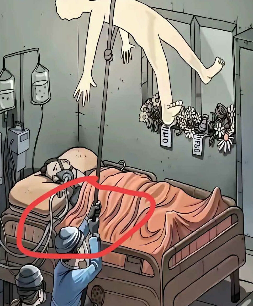 这幅图表达了什么？