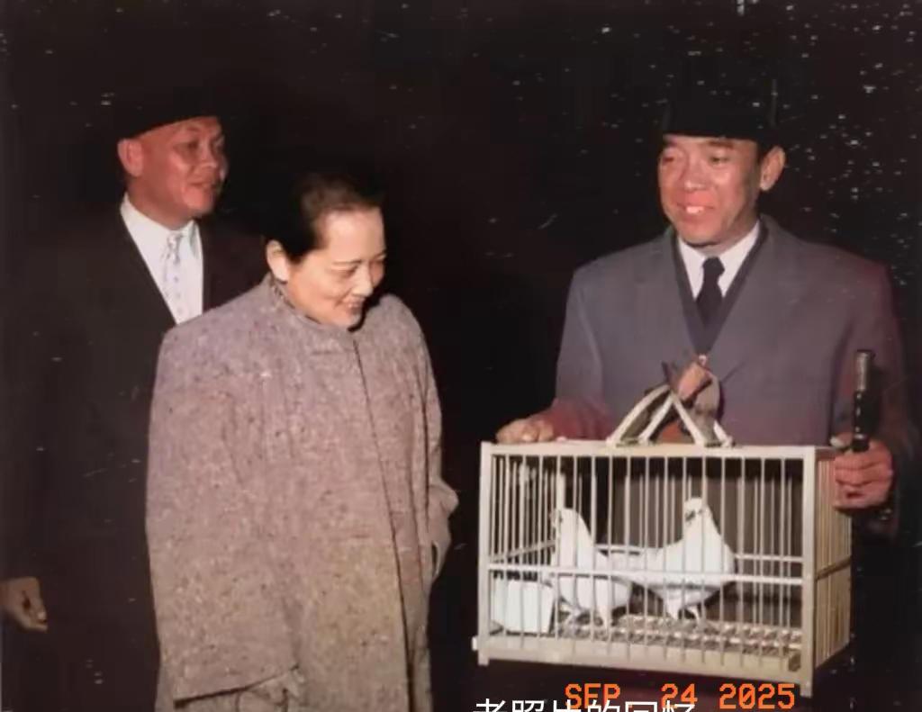 珍贵的一张照片。
老照片的回忆，1956年，宋庆龄欢迎来访的苏加诺。亲手赠送两只