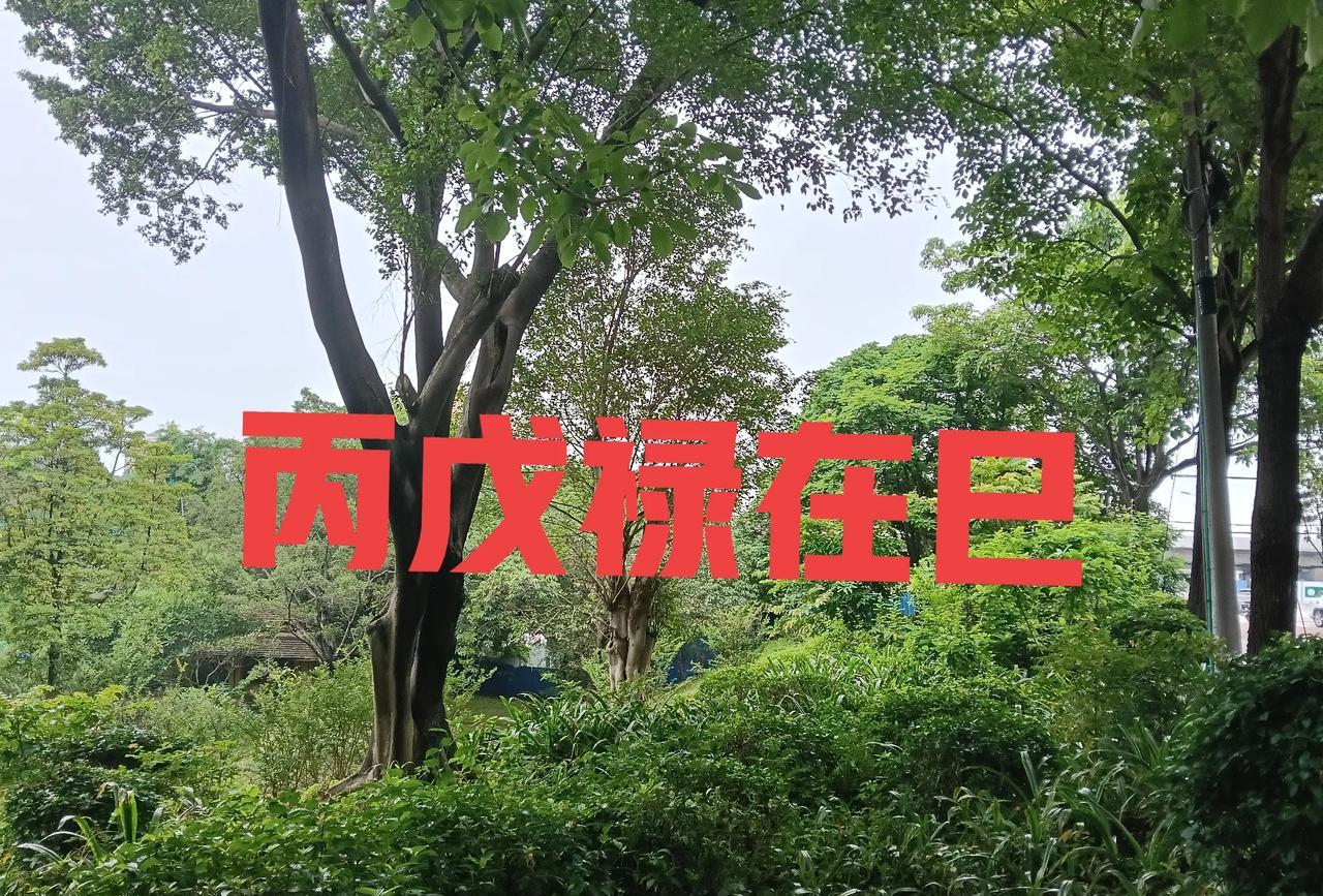丙戊禄在巳
丙火与戊土的天干禄位均在巳火地支，这是由《十天干生旺死绝表》决定的。
