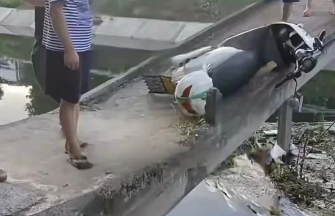 好揪心！湖南湘乡一67岁女子，骑电动车过灌溉渠上的窄桥时，摔倒落水，电动车躺在窄