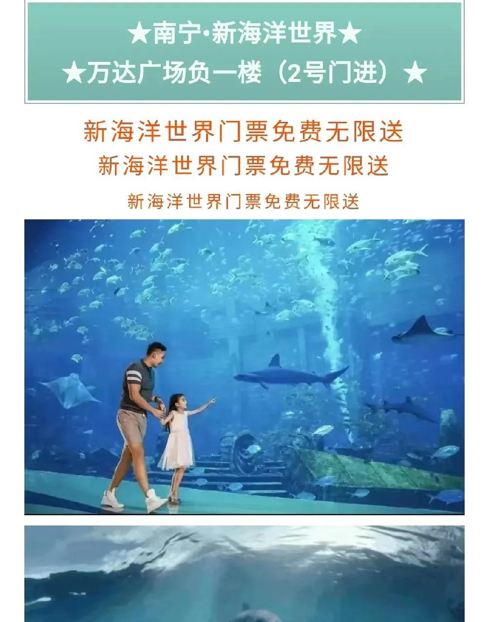 你见过这样的促销活动吗？南宁.新海洋世界的这个促销方式绝了！到处都写着门票免费无