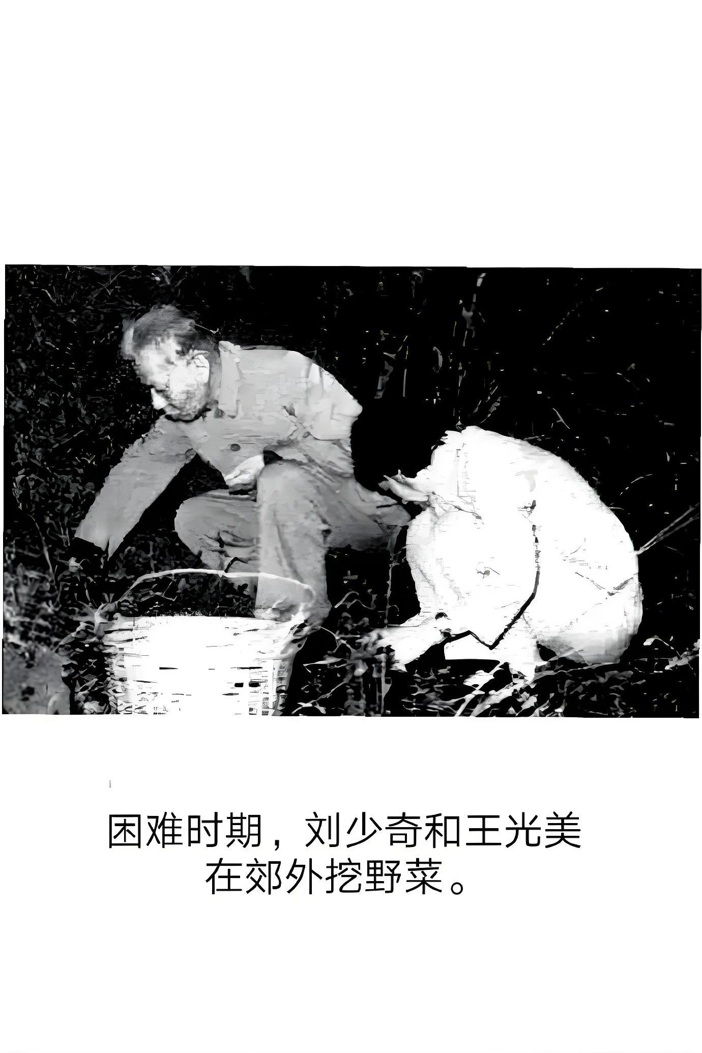 困难时期，刘少奇和王光美挖野菜。