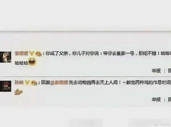陈晓袁姗姗荤段子震惊网友，涉儿子引争议