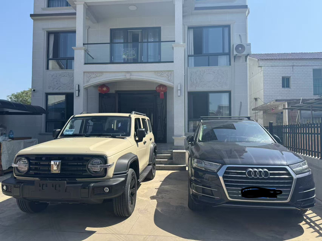 坦克300柴油已提，加装了硅油风扇，加上省补，置换补贴，全款落地23.5，订了五