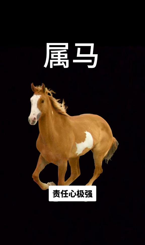 生于马年。

1966年出生的属马人如今已年过半百，值得敬佩。您慷慨善良，富