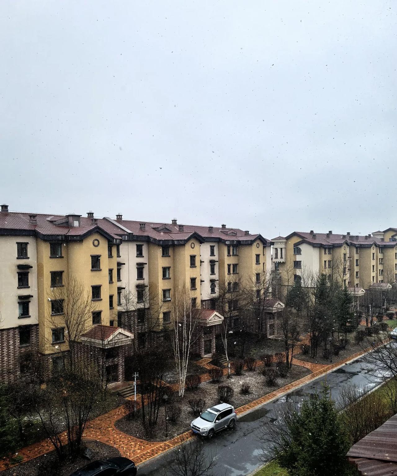      马上都5月份了，可今天早晨，伊春市民在簌簌雪声中醒来。本该是丁香绽放的