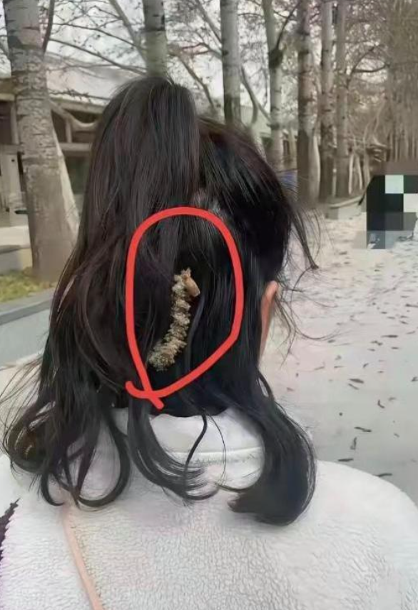 起了一身的鸡皮疙瘩！！！
