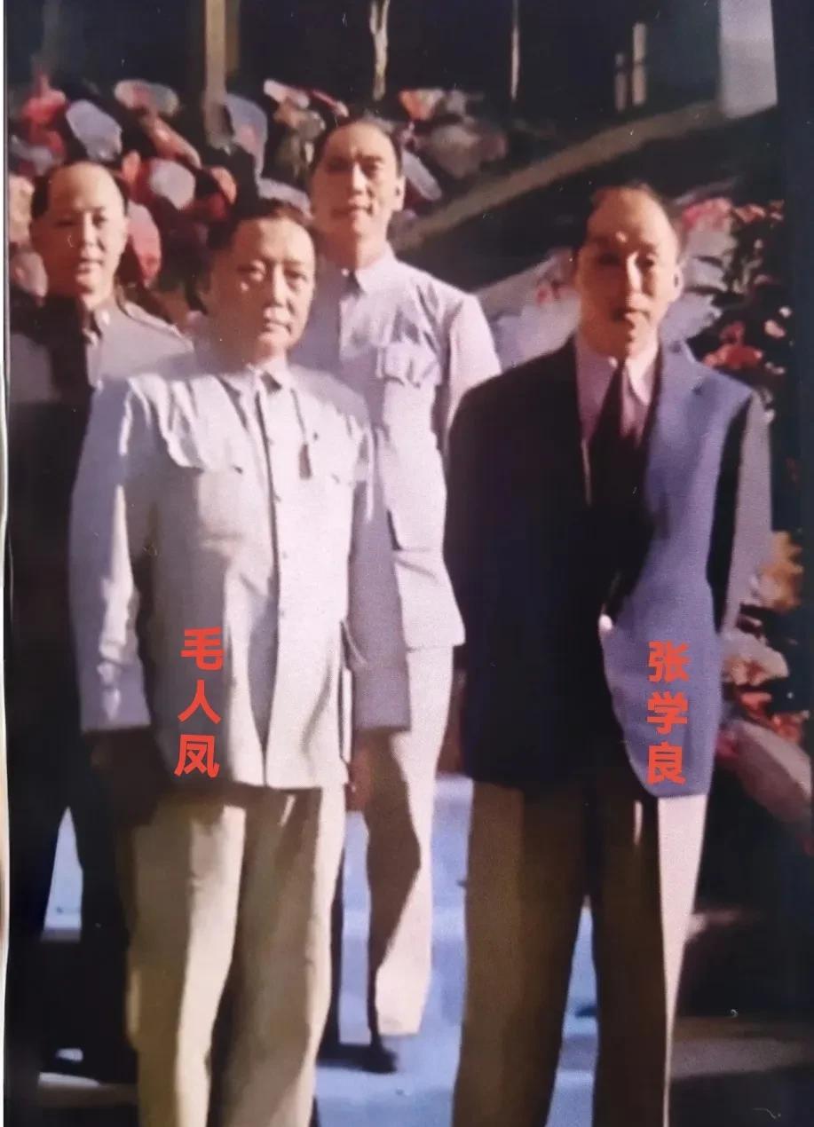 ＃春日生活打卡季＃
一九五一年，中国台湾新竹县井上温泉住所，国民党保密局局长毛人