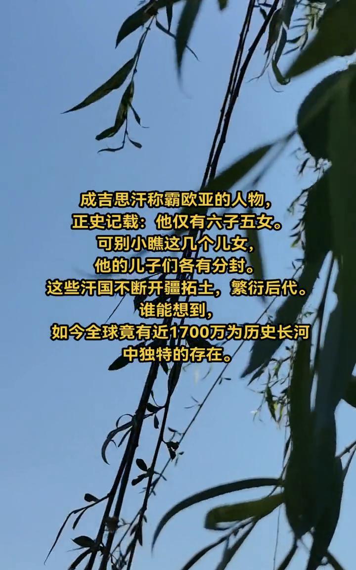 成吉思汗称霸欧亚的人物，正史记载：他仅有六子五女。可别小瞧这几个儿女，他的儿子们