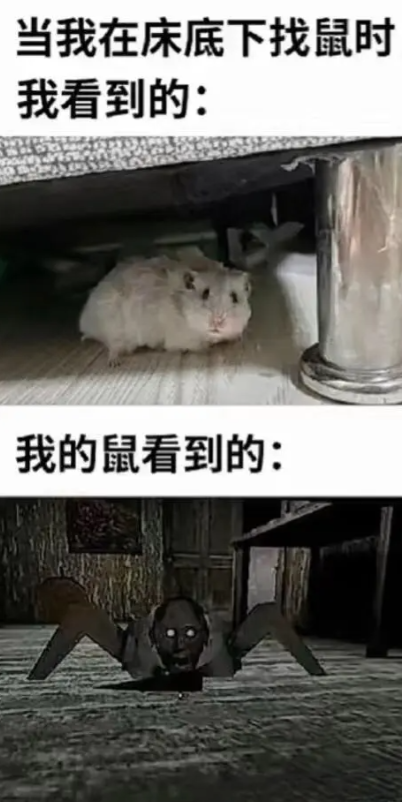 老鼠眼里 的世界巨无霸