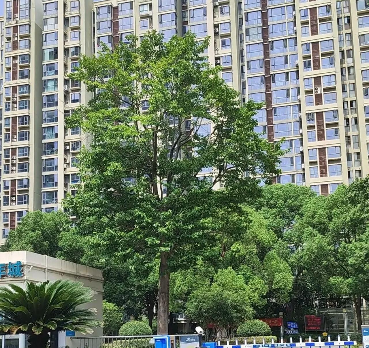 南京江宁房价跌太快了
         有朋友吐槽南京江宁东渡国际青年城。  这