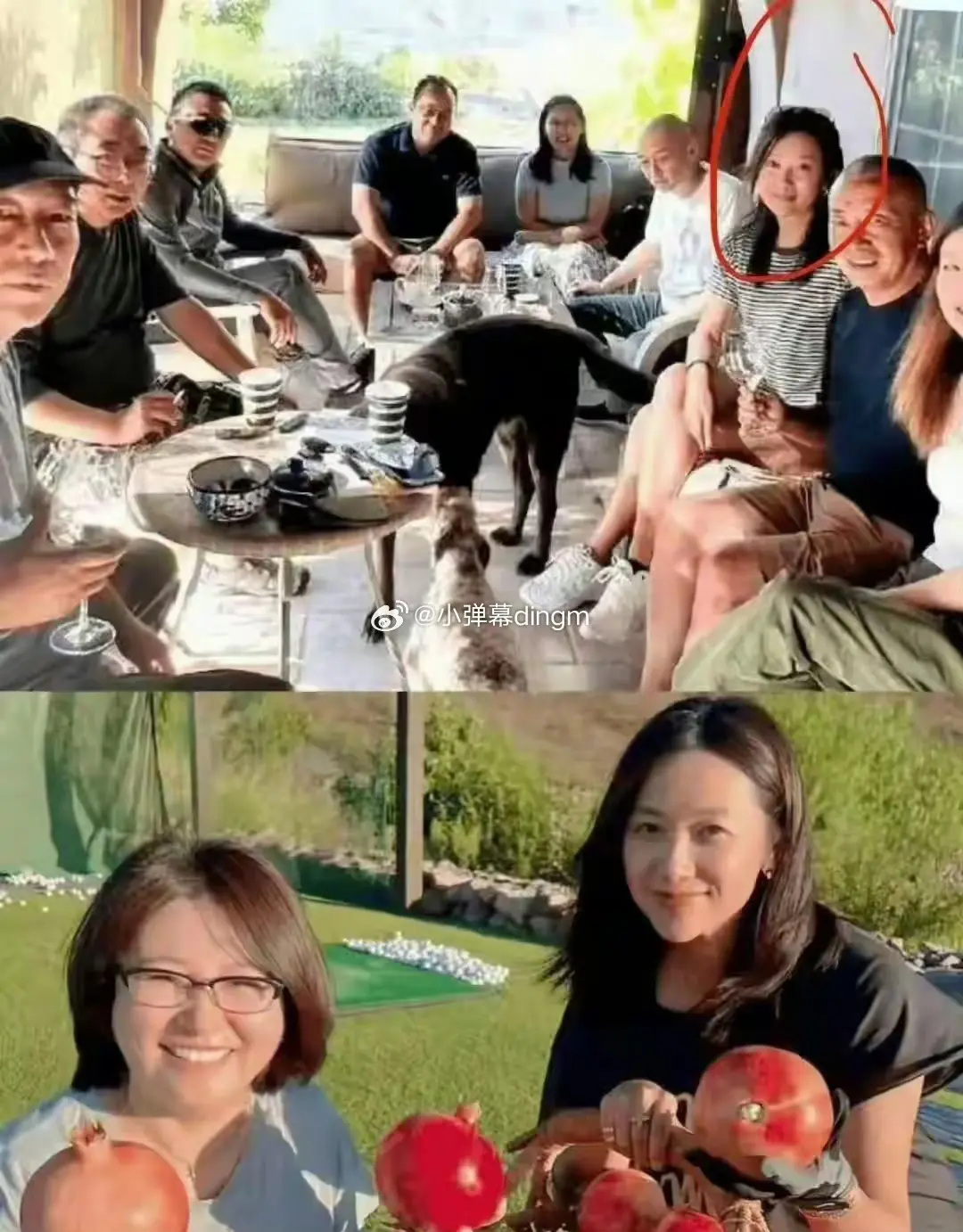 徐静蕾在美国的现状