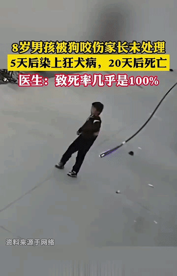 男孩被狗咬伤  不治身亡

















天呐！一个8岁男孩的