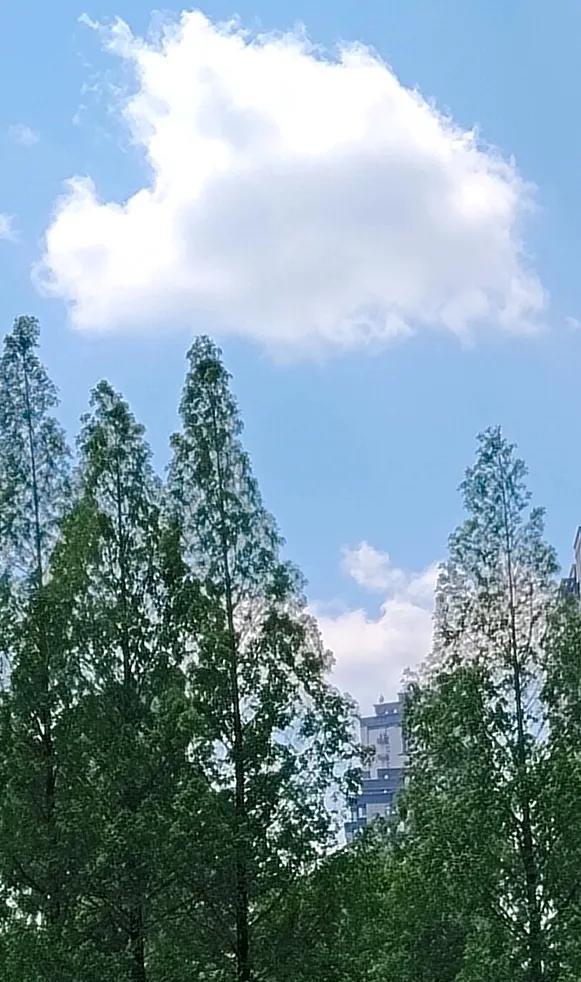 #晒图笔记大赛#