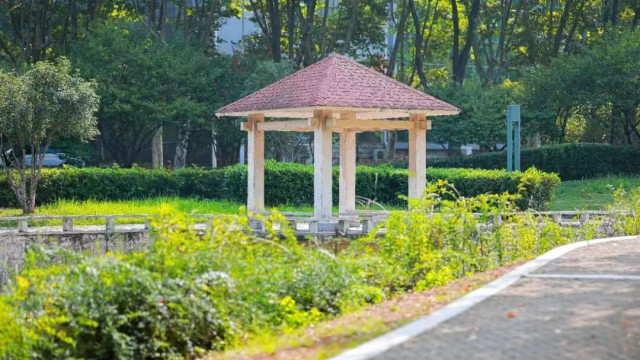 高校检阅：武汉工程大学怎么样？再次拿下全国金奖，和985学子扳手腕！