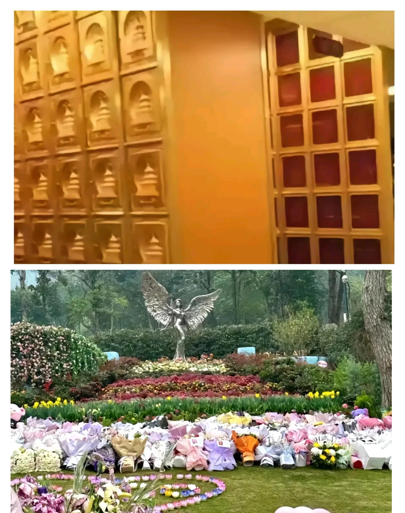大S李玟身后事对比











这也太扎心了吧！大S最后竟然住在租来的