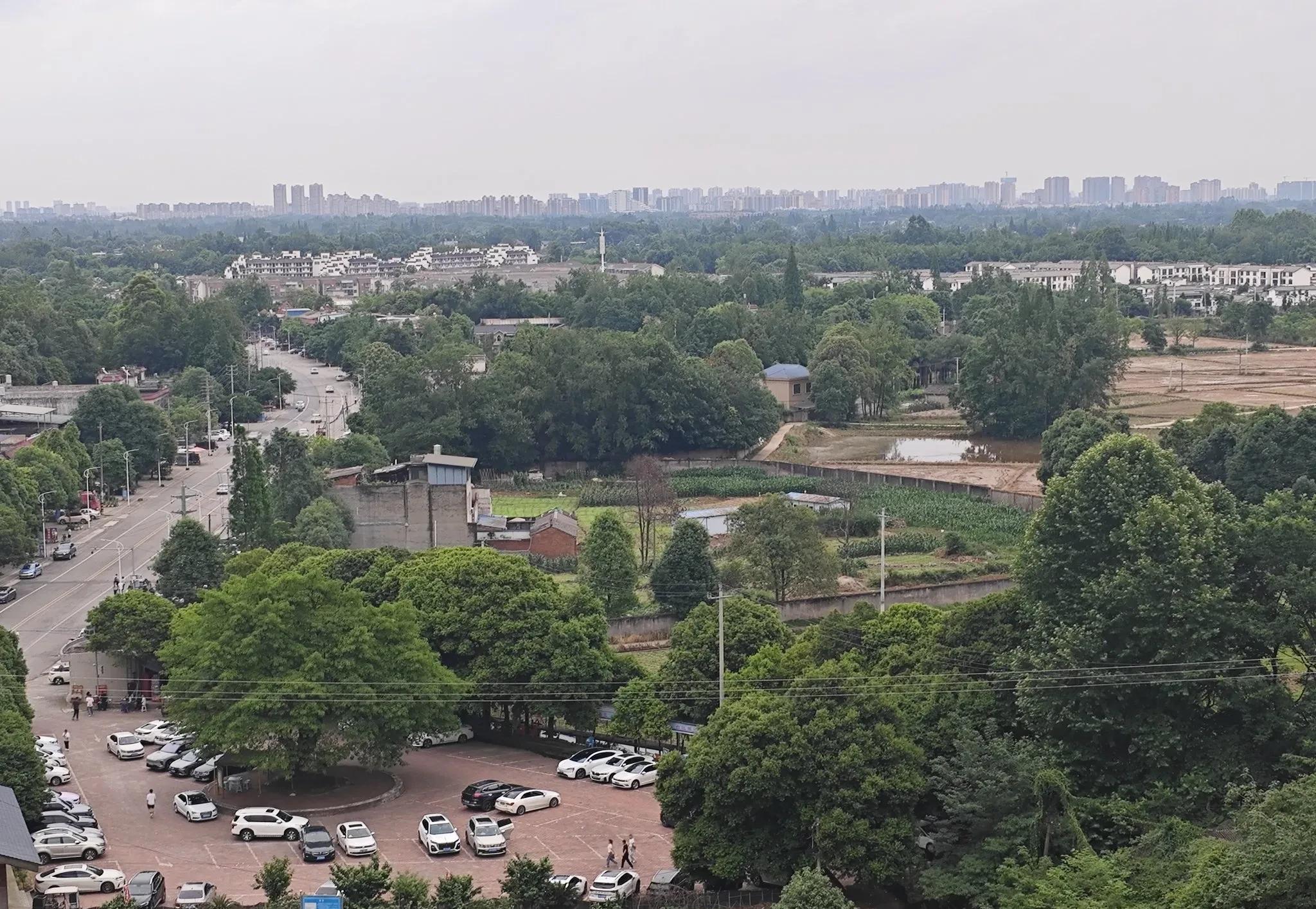 我侄子结婚，没给我打电话，婚礼上也没问候我一句。  这让我心里五味杂陈，五一假期
