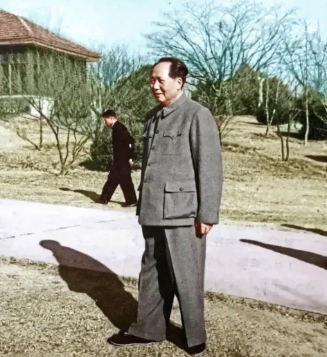 50年代，毛主席在东湖宾馆散步的一张留影，主席器宇轩昂！

看这张拍摄于 195