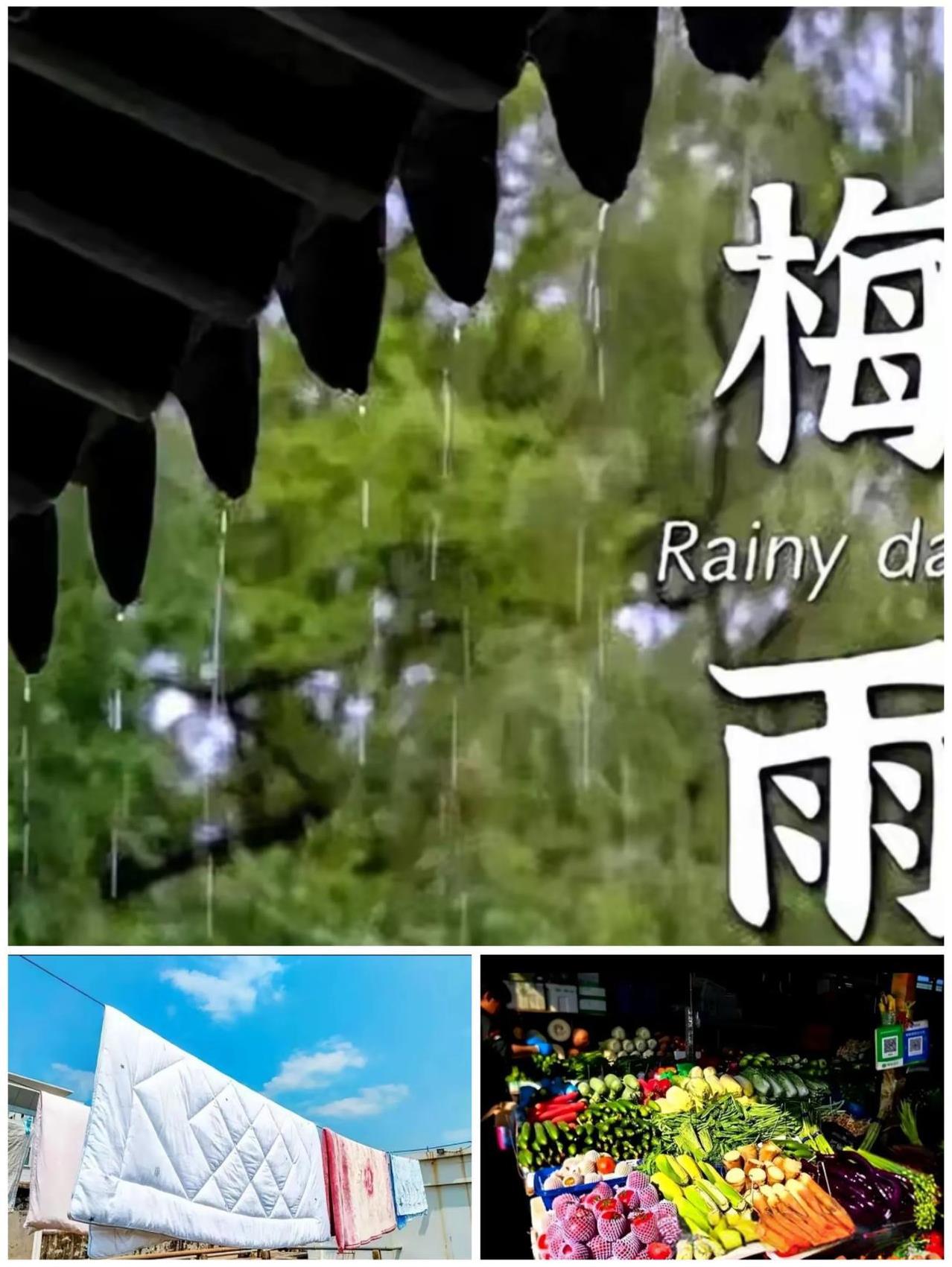 老祖宗留下的“入梅规矩”，教会我们梅雨季节该怎么过，才能与梅雨和平共处。   一