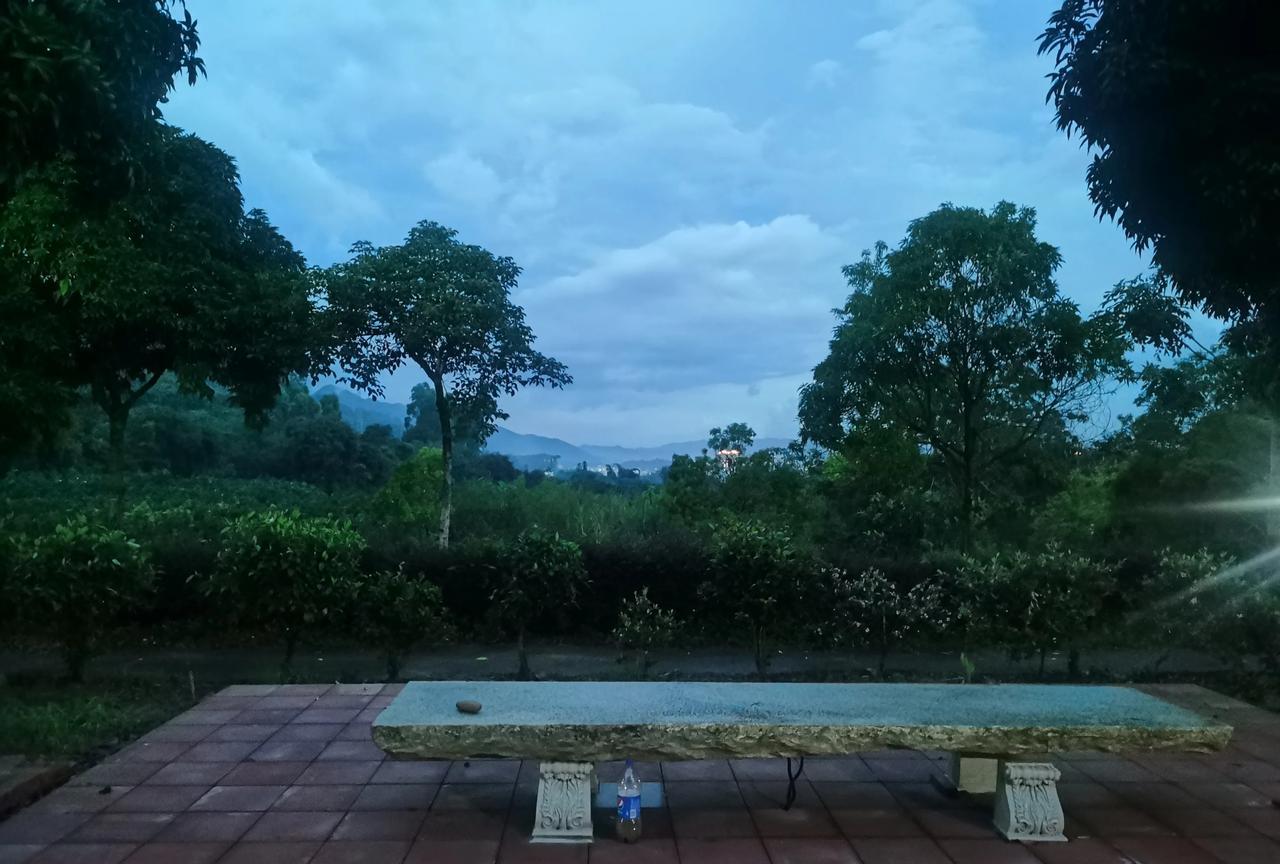谁叫你来白受罪，
日也写，夜也写，
写到不分日和夜，
你点赞，我点赞，
就是不见