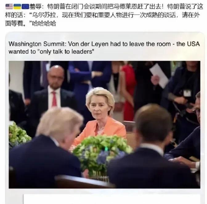 原来这才是真相，白宫峰会的时候，冯德莱恩不是自己愤而离席的！
当时就有媒体爆料称