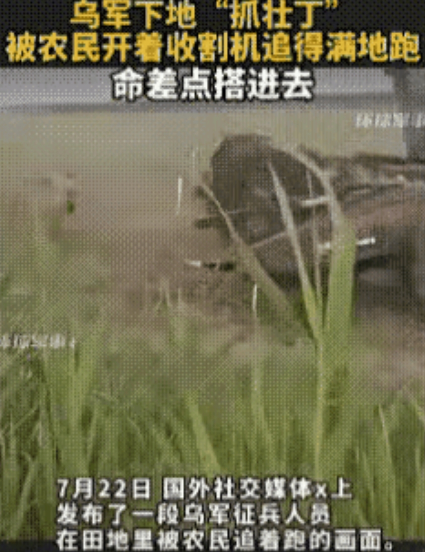 乌克兰兵荒，四处抓壮丁，看到农户独自在地里干活，迫不及待的就去了。

正在干活的