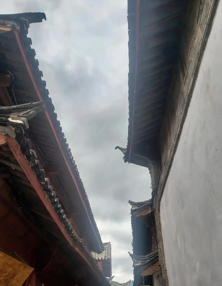 今年挣钱了没？

端午节到了，

姑爷们出嫁的女儿们打算给家人多少过节费？

我